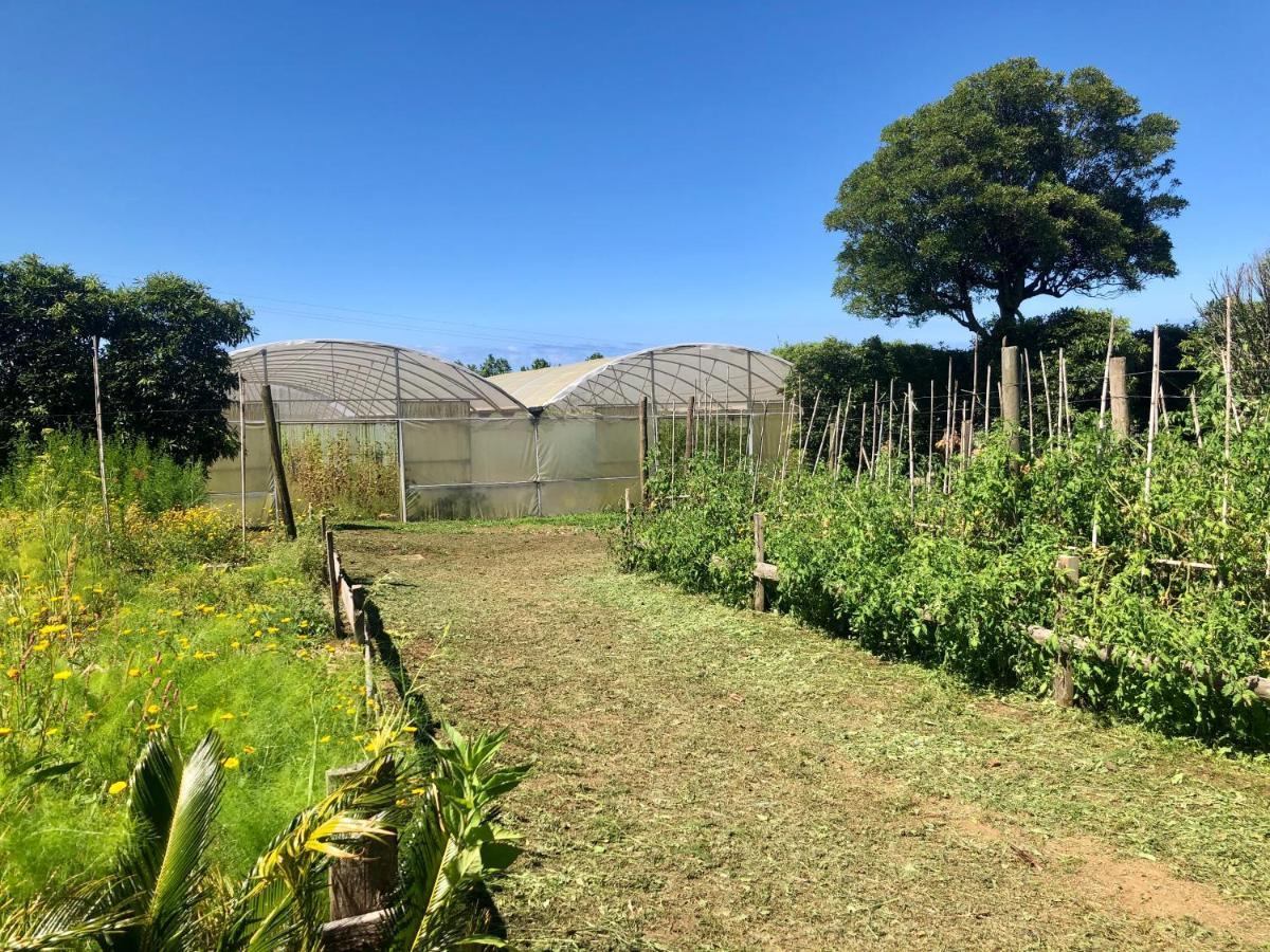 Quinta Dos Sabores Farm Houses Ribeira Grande Exterior photo